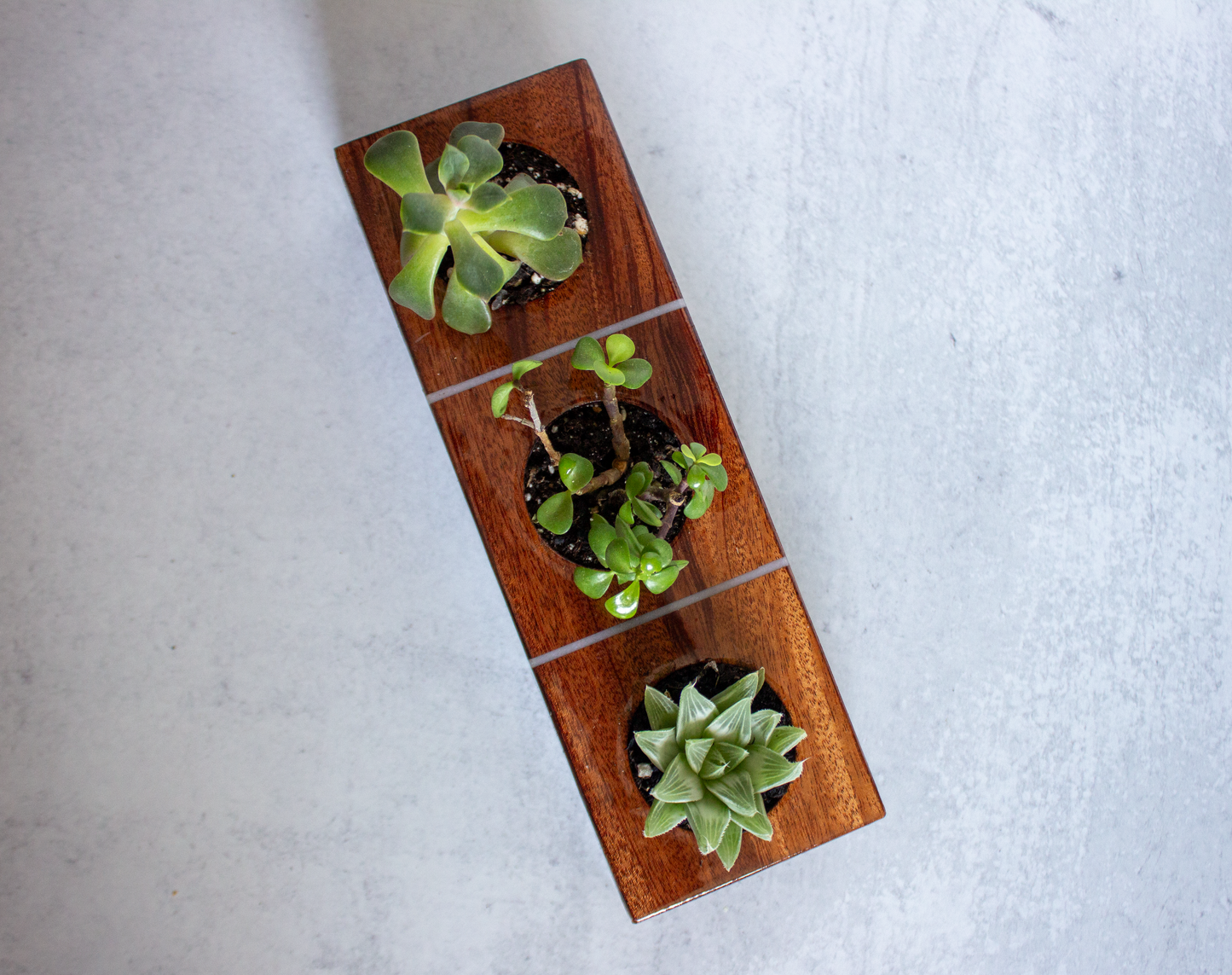 Wood Succulent Vase With Epoxy Inlay