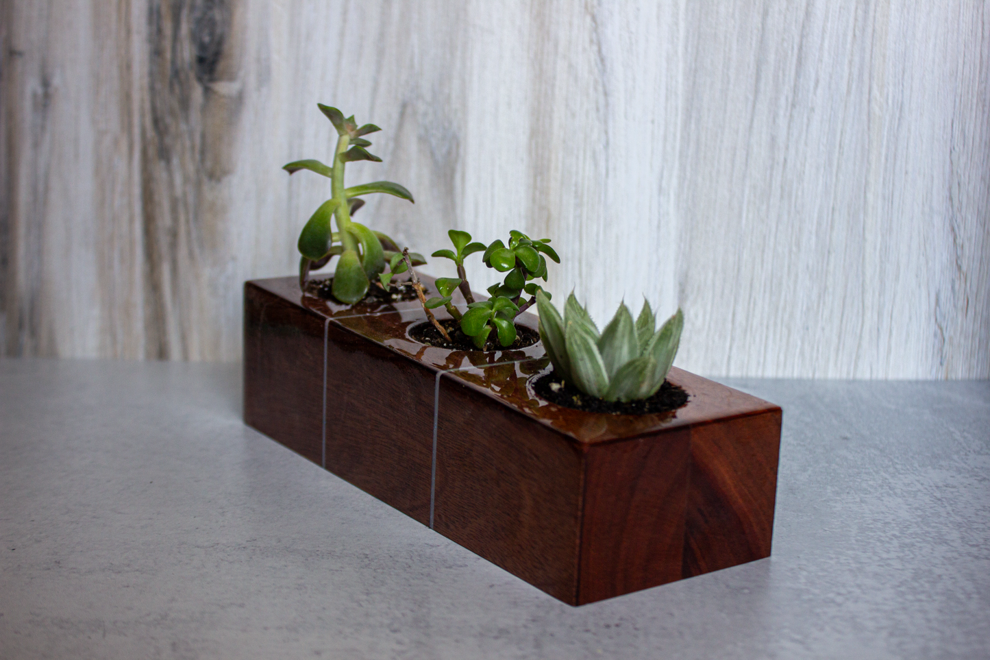 Wood Succulent Vase With Epoxy Inlay