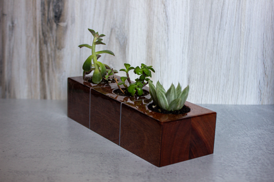 Wood Succulent Vase With Epoxy Inlay