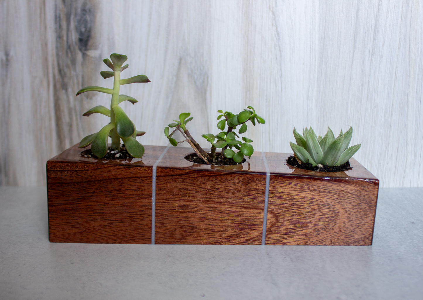 Wood Succulent Vase With Epoxy Inlay